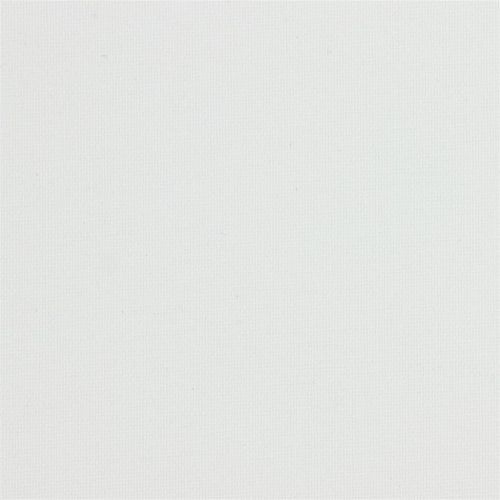 Rainier Snowfall 6250