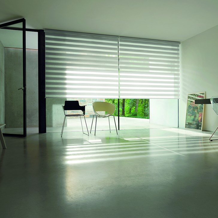 Shown in color Curio Jasmine