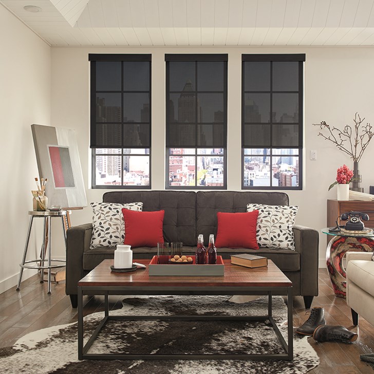 Inside mount, cordless solar shade. Color: Feedback 5% Mineral Point 48308