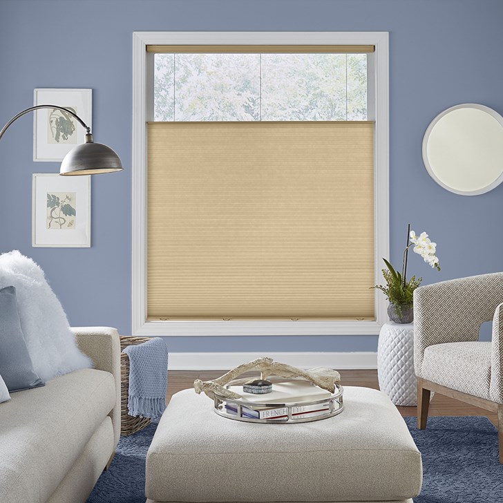 Color: Classic Novel